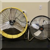 Z01. Fans. 